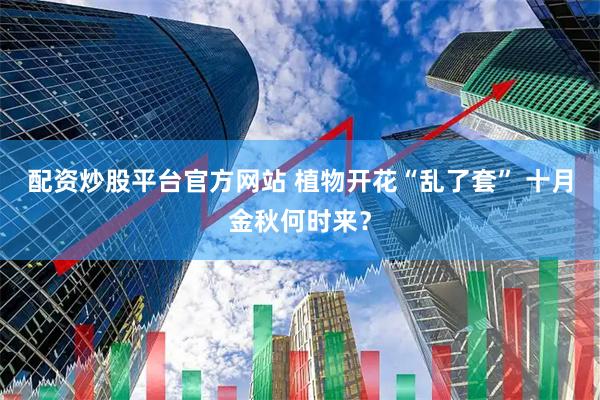 配资炒股平台官方网站 植物开花“乱了套” 十月金秋何时来？